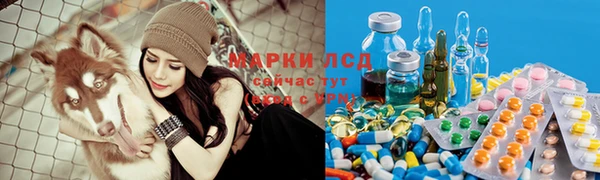 мяу мяу мука Богданович