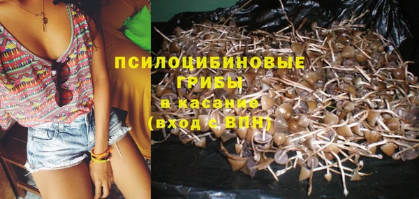 мяу мяу мука Богданович