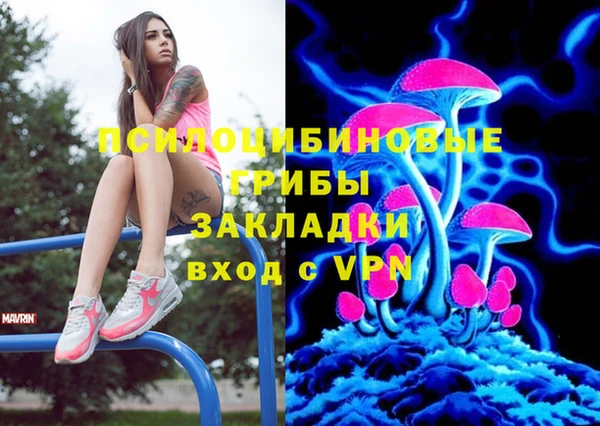 мескалин Богородицк