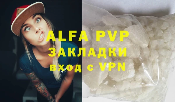 ГАЛЛЮЦИНОГЕННЫЕ ГРИБЫ Белокуриха
