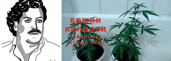 мяу мяу мука Богданович
