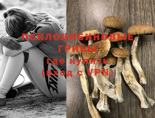 мяу мяу мука Богданович