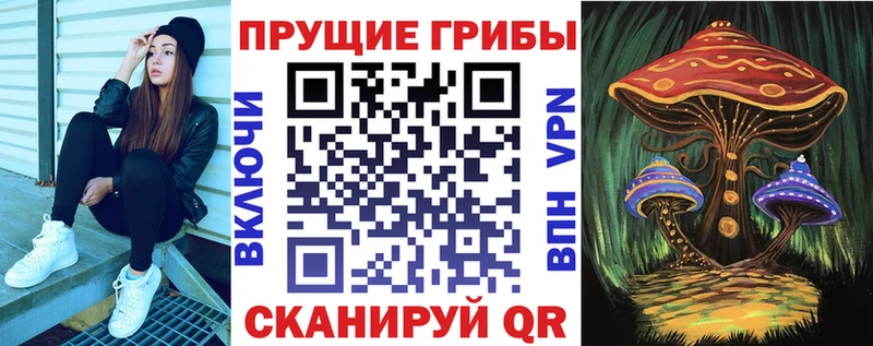 Псилоцибиновые грибы GOLDEN TEACHER  blacksprut ONION  Кольчугино 