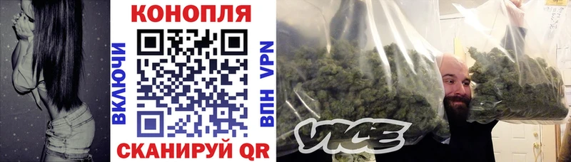 МЕГА вход  Кольчугино  Шишки марихуана THC 21% 